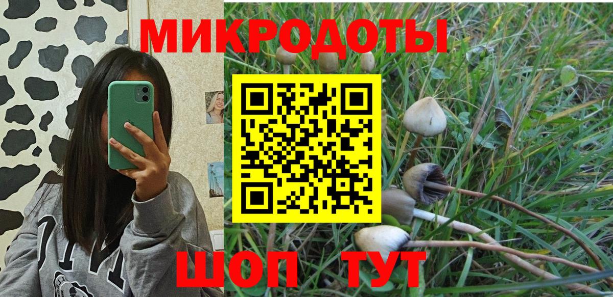 Сегежа  сколько стоит  Вход с VPN  Псилоцибиновые грибы мицелий  Галлюциногенные грибы мухоморы 